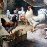 Chicken Farm - Unknown - part 2